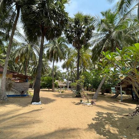 Araliya Villa Kalpitiya Bagian luar foto