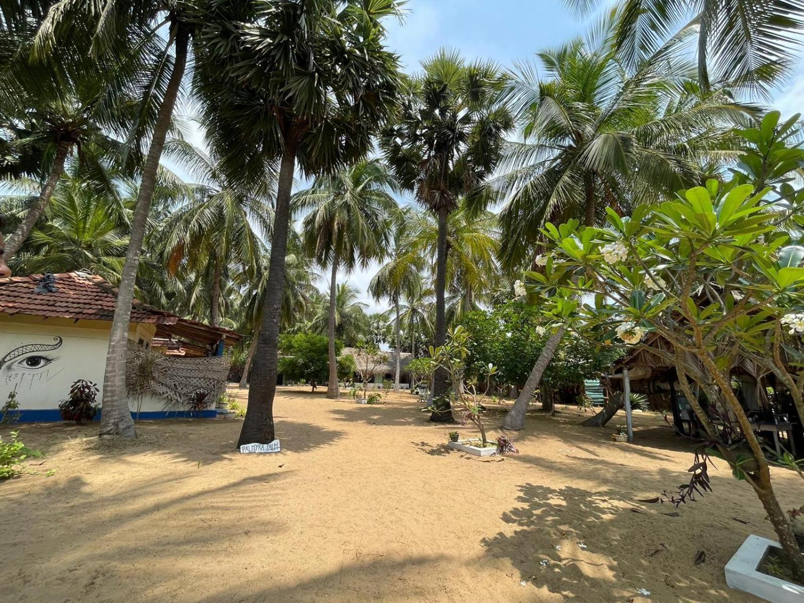 Araliya Villa Kalpitiya Bagian luar foto