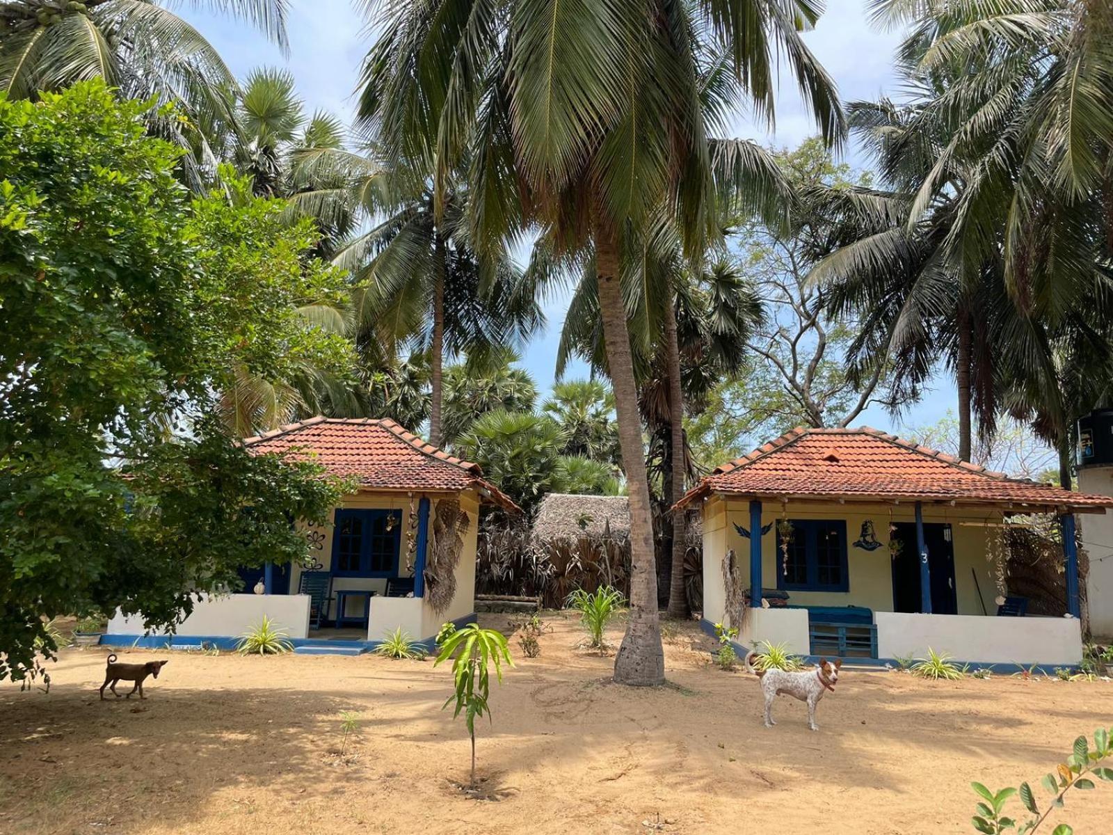 Araliya Villa Kalpitiya Bagian luar foto