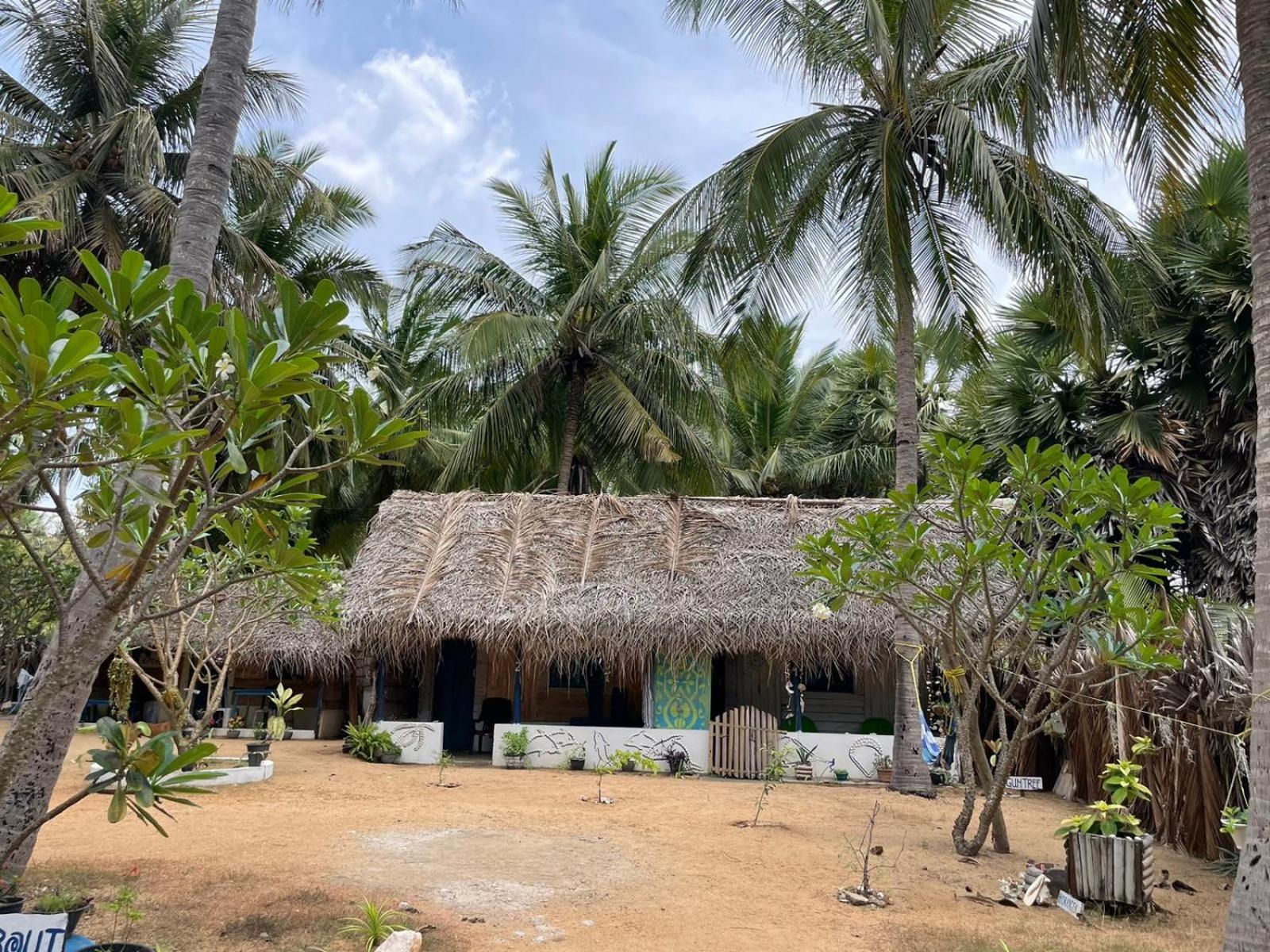 Araliya Villa Kalpitiya Bagian luar foto