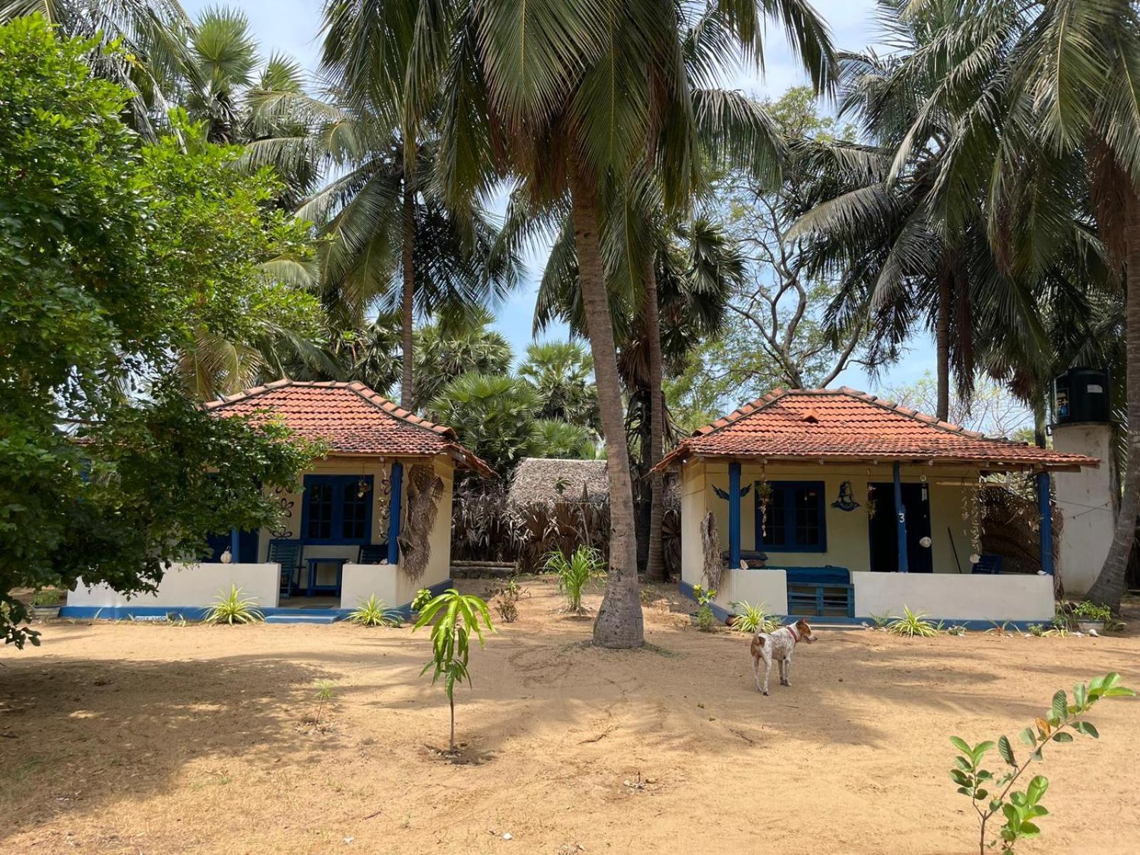 Araliya Villa Kalpitiya Ruang foto